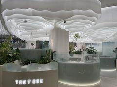 -大树餐厅(朝阳大悦城店)