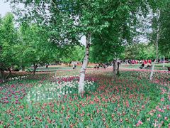 -长春公园(普阳街道)