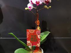 -良友花店(天目山路店)