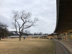 -轻井泽王子购物广场