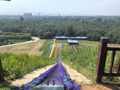 -南戴河国际娱乐中心