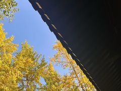 -西安大兴善寺