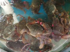 -聚德福海鲜家常菜(刘庄店)