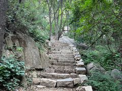 -大岭沟猕猴桃谷风景区