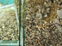 -考记泥焗鸡农庄·海鲜(北洛秘境店)