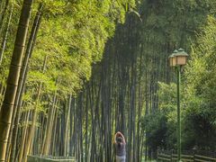 -杭州植物园