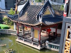 -碧江金楼