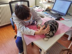 -北京观赏动物医院·24小时大型综合·猫专科·异宠专科