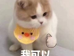 -诸暨耀江开元名都大酒店·琉森湖自助餐厅