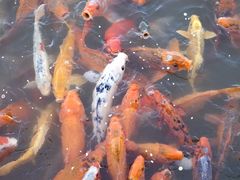 -春晖园度假酒店温泉