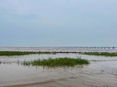 -南汇嘴观海公园