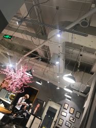 -时尚殿堂明星门店