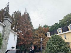 -上海虹桥迎宾馆