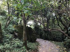 -山王坪喀斯特国家生态公园