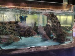-阿伟海鲜楼·福建菜(延寿店)