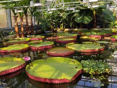 -国家植物园南园