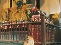 -龙华寺