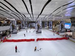-冰纷万象滑冰场(沈阳万象城店)