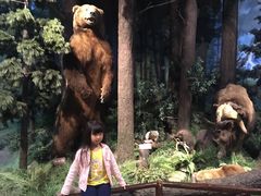 -陕西自然博物馆