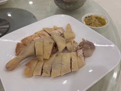 -姚林轩