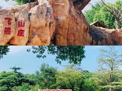 -上海野生动物园