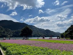 -广州市石门国家森林公园