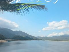 -海南热带雨林国家公园吊罗山景区