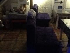 iphone_upload_pic-Sirena海妖日咖夜酒