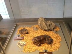 -自然博物馆新馆2楼餐厅