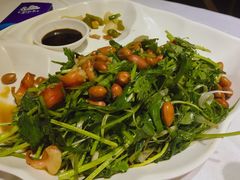 拍青瓜葱油珊瑚蚌-山泉公馆酒家(广州东站店)
