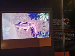 -贝林大翅鲸简餐厅(国家海洋博物馆店)