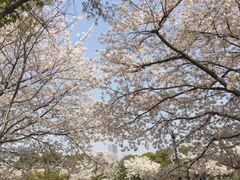 -苏州上方山国家森林公园