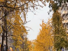 -奎星楼街