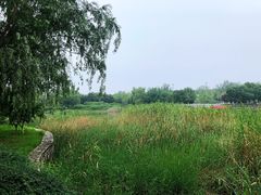 -永定河休闲森林公园