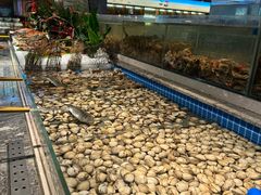 -一方渔歌蒸汽海鲜自助(文化路万达广场店)