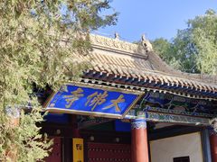 -张掖大佛寺景区