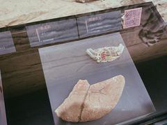 -温州博物馆