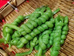 -上海港国际客运中心