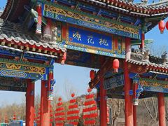 -渭南桃花源民俗文化园