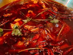 -红牌美蛙鱼头火锅(万辉国际广场店)
