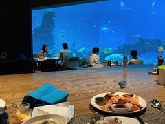 -海棠湾洲际-涛·海底餐厅·美人鱼·自助餐·海底隧道