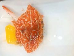 -野狸岛
