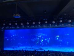 -烟台海昌鲸鲨海洋公园