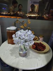 -酉嘉瑜伽YO+YOGA