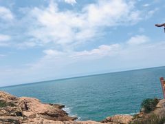 -广东惠东海龟国家级自然保护区