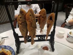 -院8里·少城记忆老川菜(宽窄巷子店)