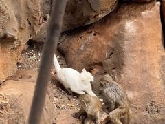 -昆明动物园