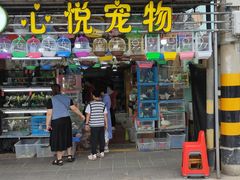 -溪岸路花鸟市场