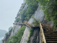 -陕西省红河谷森林公园