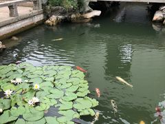 -张家港凤凰山景区恬庄古街